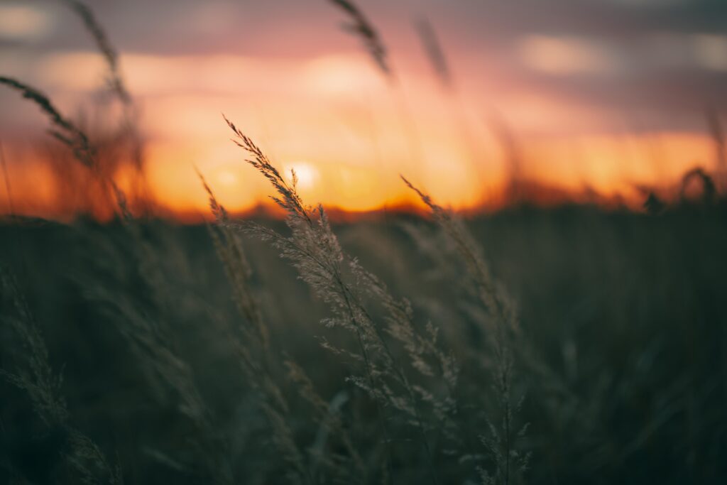 peaceful view sunset light